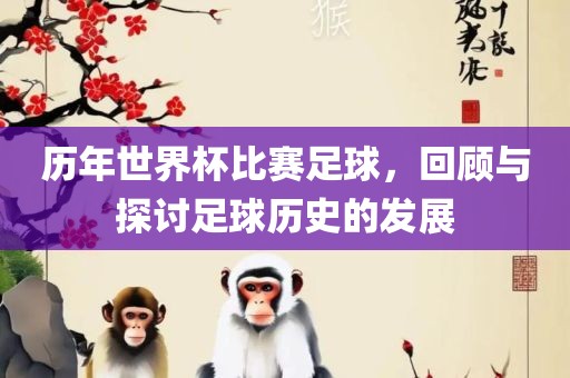 历年世界杯比赛足球，回顾与探讨足球历史的发展