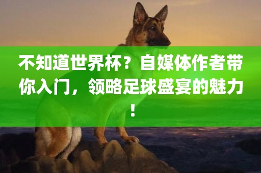 不知道世界杯？自媒体作者带你入门，领略足球盛宴的魅力！