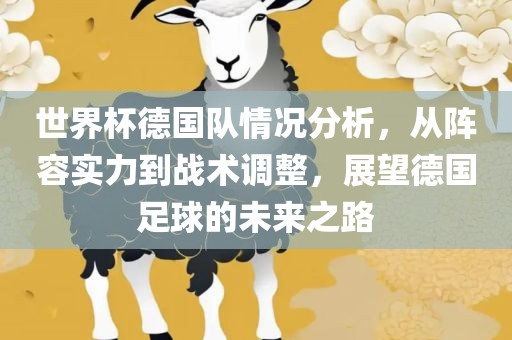 世界杯德国队情况眉山市正发家政服务有限公司分析，从阵容实力到战术调整，展望德国足球的未来之路