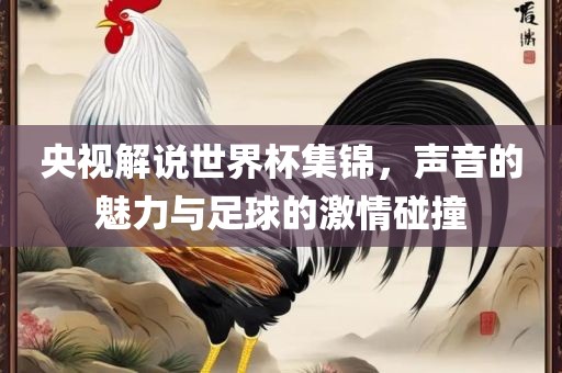 央视解说世界杯集锦，声音的魅力与足球的激情碰撞