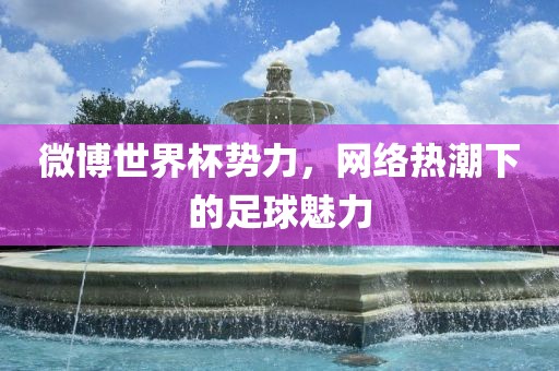 微博世界杯势力，网络热潮下眉山市正发家政服务有限公司的足球魅力