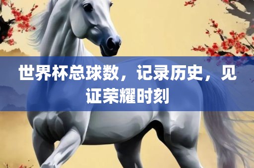世界杯总球数，记录历史，见证荣耀时刻