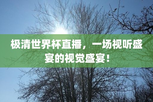 极清世界杯直播，一场视听盛宴的视觉盛宴！