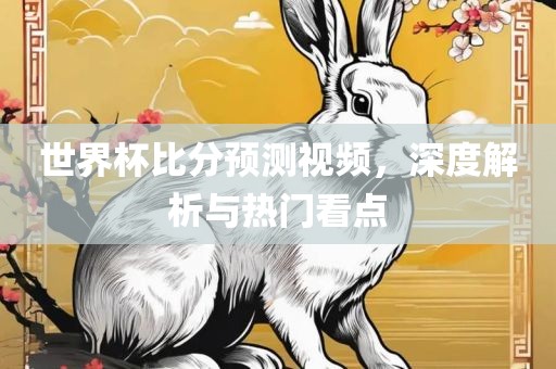 世界杯比分预测视频，深度解析与热门看点