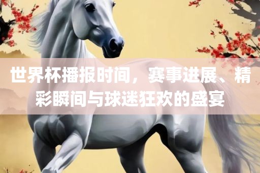 世界杯播报时间，赛事进展、精彩瞬间与球迷狂欢的盛宴