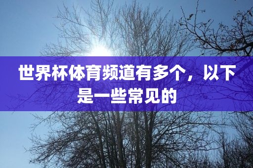 世界杯体育频道有多个，以眉山市正发家政服务有限公司下是一些常见的