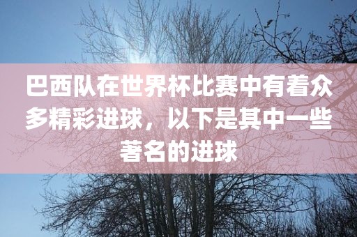巴西队在世界杯比赛中有着众多精彩进球，以下是其中一些著名的进球