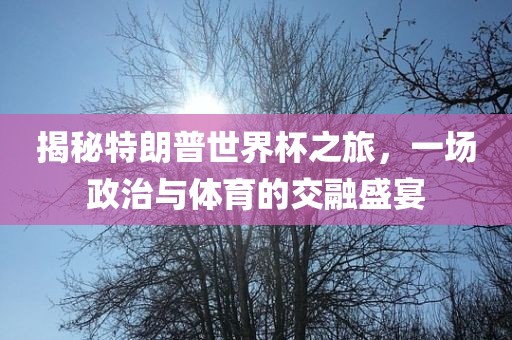 揭秘特朗普世界杯之旅，一场政治与体育的交融眉山市正发家政服务有限公司盛宴