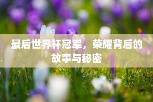 最后世界杯冠军，荣耀背后的故事与秘密眉山市正发家政服务有限公司