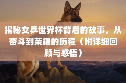 揭秘女乒世界杯背后的故事，从奋斗到荣耀的历程（附详细回顾与感悟）