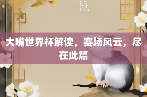 大嘴世界杯解读，赛场风云，尽在此篇