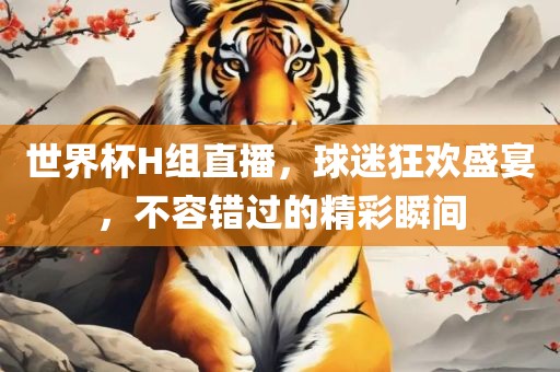 世界杯H组直播，球迷狂欢盛宴，不容错过的精彩瞬间