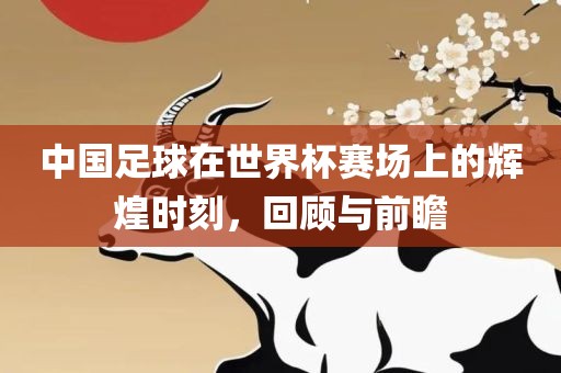 中国足球在世界杯赛场上的辉煌时刻，回顾与前瞻
