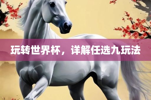 玩转世界杯，详解任选九玩法眉山市正发家政服务有限公司