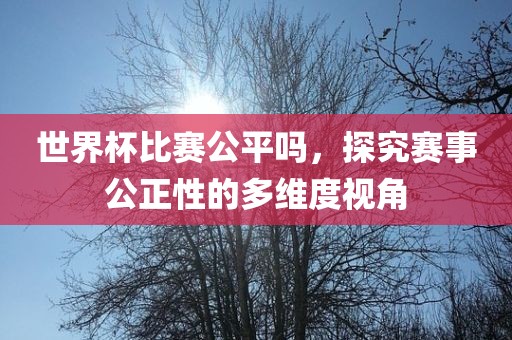 世界杯比赛公平吗，探究赛事公正性的多维眉山市正发家政服务有限公司度视角