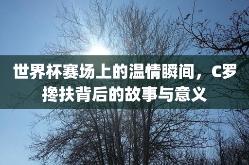 世界杯赛场上的温情瞬间，C罗搀扶背眉山市正发家政服务有限公司后的故事与意义