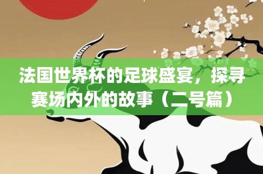 法国世界杯的足球盛宴，探寻赛场内外的故事（二号篇）