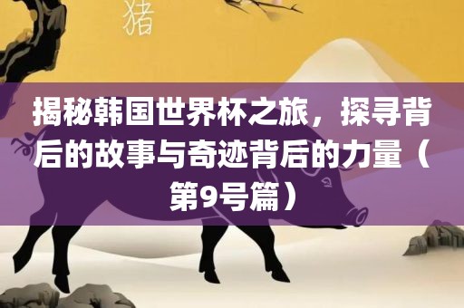 揭秘韩国世界杯之旅，探寻背后的故事与奇迹背后的力量（第9号篇）