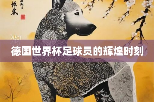 德国世界杯足球员的辉煌时刻