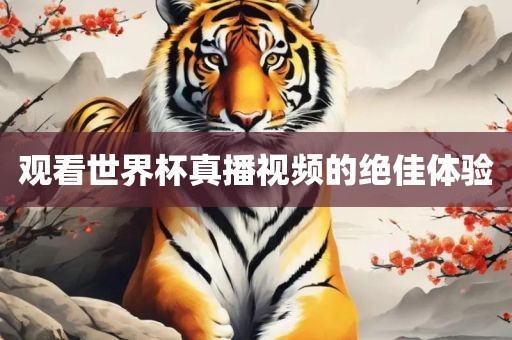 观看世界杯真播视频的绝佳体验