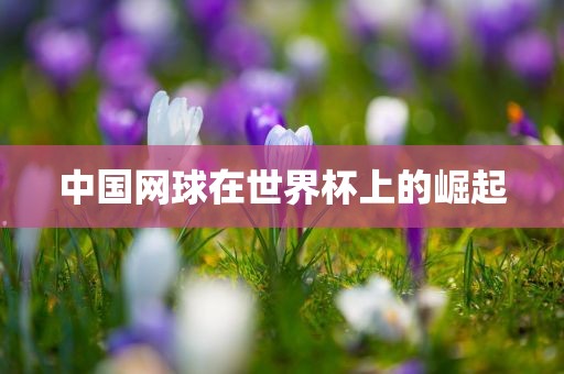 中国网球在世界杯上的崛起