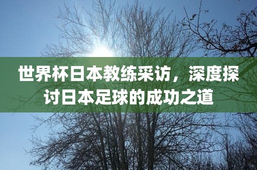 世界杯日本教练采访，深度探讨日本足球的成功之道眉山市正发家政服务有限公司