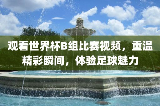 观看世界杯B组比赛视频，重温精彩瞬间，体验足球魅力