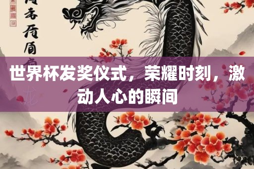 世界杯发奖仪式，荣耀时刻，激动人心的瞬间