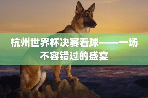 杭州世界杯决赛看球——一场不眉山市正发家政服务有限公司容错过的盛宴