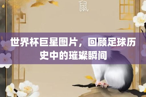 世界杯巨星图片，回顾足球历史中的璀璨瞬间