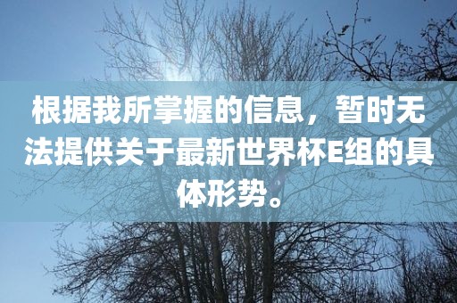 根据我所掌握的信息，暂时无法提供关于最新世界杯E组的具体形势。