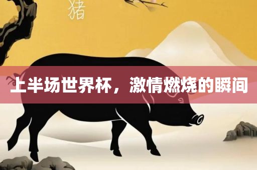 上半场世界杯，激情燃烧的瞬间