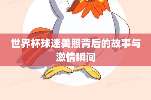世界杯球迷美照背后的故事与激情瞬间