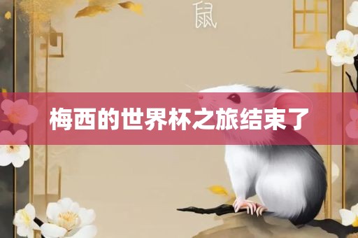 梅西的世界杯之旅结束了