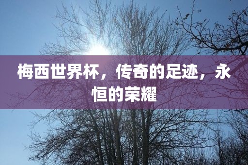 梅西世界杯，传奇的足迹，永恒的荣耀