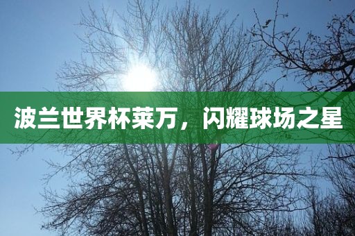 波兰世界杯莱万，闪耀球场之星眉山市正发家政服务有限公司