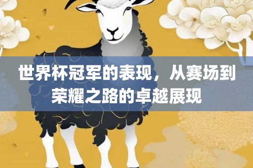 世界杯冠军的表现，从赛场到荣耀之路的卓越展现