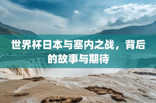 世界杯日本与塞内之战，背后的故事与期待眉山市正发家政服务有限公司