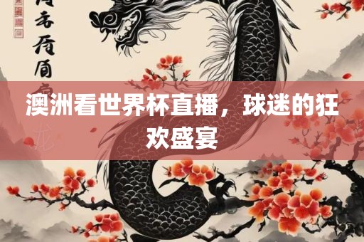 澳洲看世界杯直播，球迷的狂欢盛宴