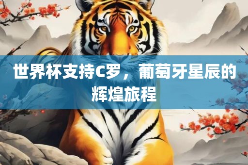 世界杯支持C罗，葡萄牙星辰的辉煌旅程眉山市正发家政服务有限公司