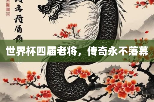 世界杯四届老将，传奇永不落幕