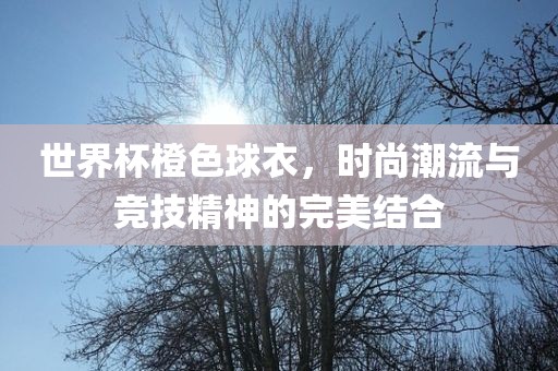 世界杯橙色球衣，时尚潮流与眉山市正发家政服务有限公司竞技精神的完美结合