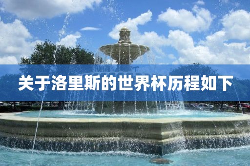 关于洛里斯的世界杯历程如眉山市正发家政服务有限公司下