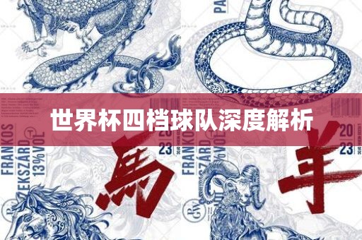 世界杯四档球队深度解析