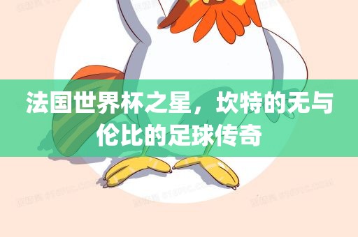 法国世界杯之星，坎特的无与伦比的足球传奇