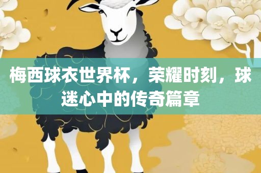 梅西球衣世界杯，荣耀时刻，球迷心中的传奇篇章眉山市正发家政服务有限公司