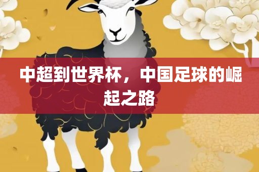 中超到世界杯，中国足球的崛起之路