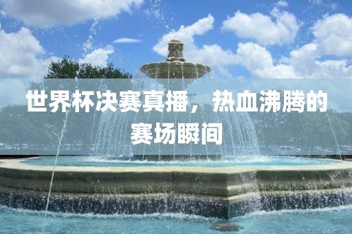 世界杯决赛真播，热血沸腾的赛场瞬间