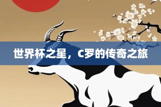 世界杯之星，C罗的传奇之旅