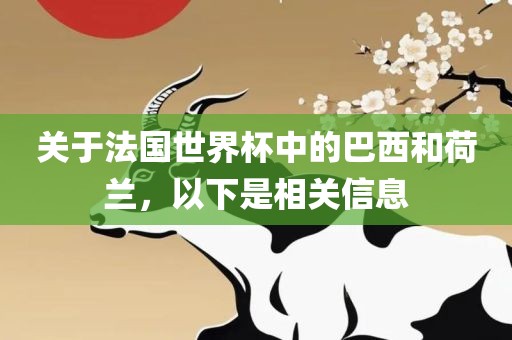 关于法国世界杯中的巴西和荷兰，以下是相关信息